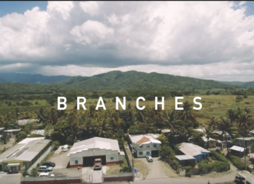 Branches (Official)